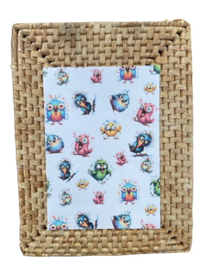 birdies trasnfer sheets